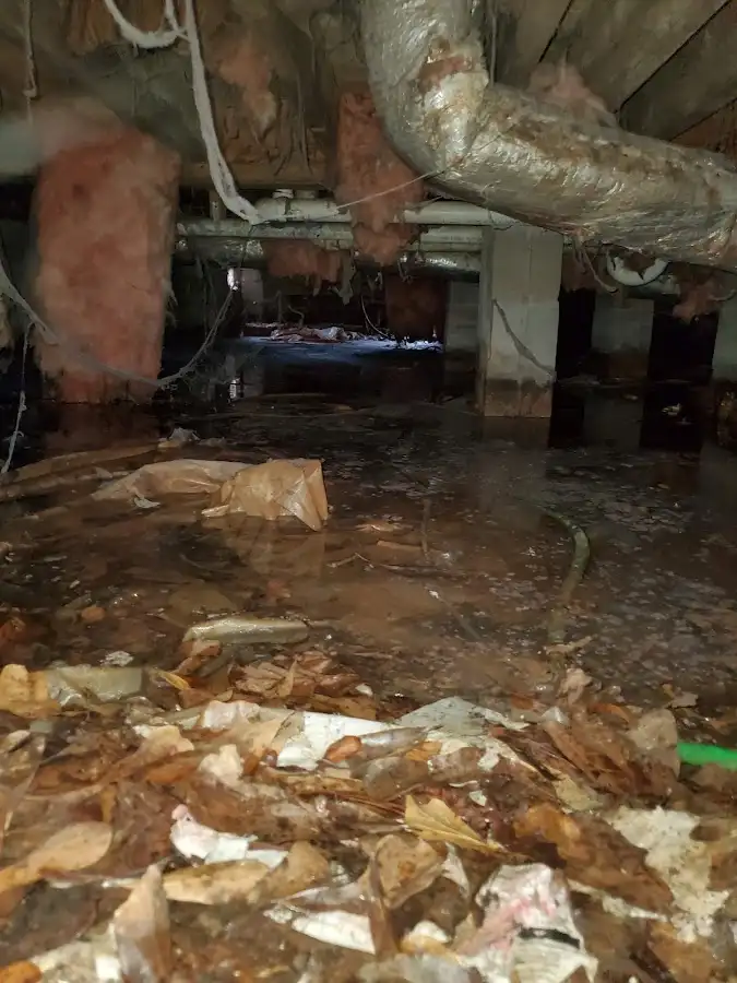Crawl space flood assessment for Leak Detection & Repair in Prattville
